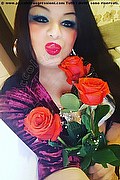 Bratislava Trans Nika  00421944929936 foto selfie 3